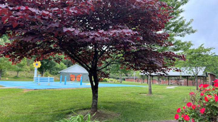 Town Branch Splash Pad