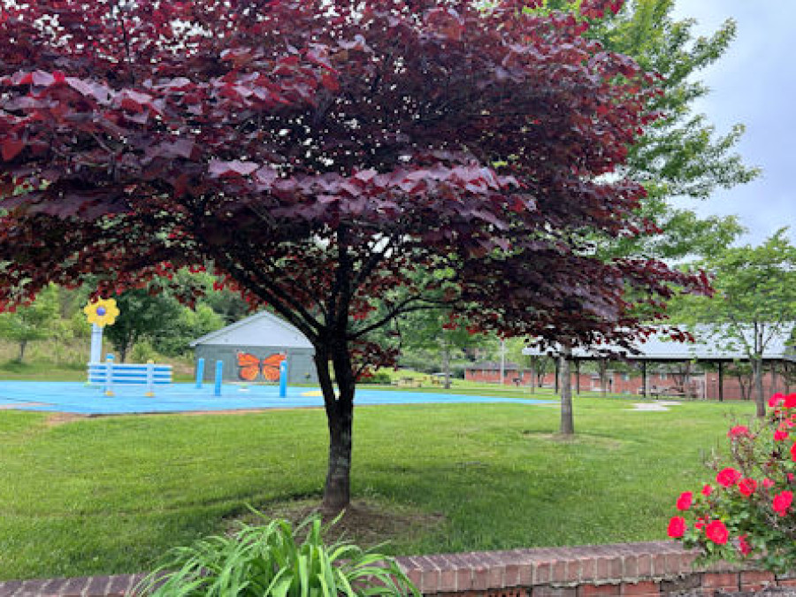 Town Branch Splash Pad